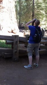 Sequoya Park General Sherman