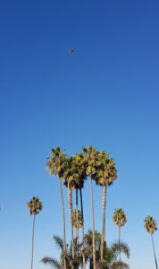 1_LA_3i_20181020_163130