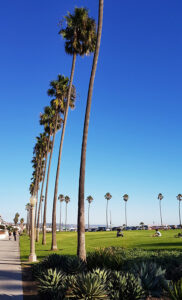 1_LA_3k_20181020_163620