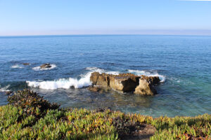 1_LA_7a_IMG_0272