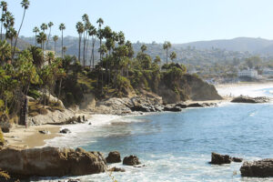1_LA_7d_IMG_0290