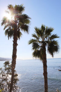 1_LA_7e_IMG_0292