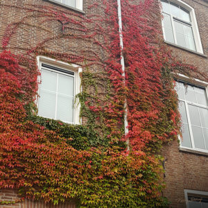 rondvaart-2