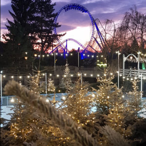 Wintertrip Europapark 2019