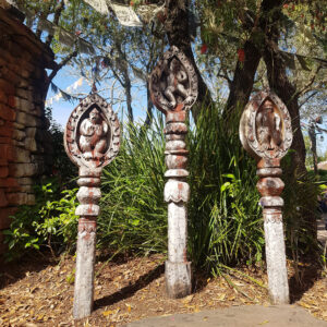 expedition-everest-5