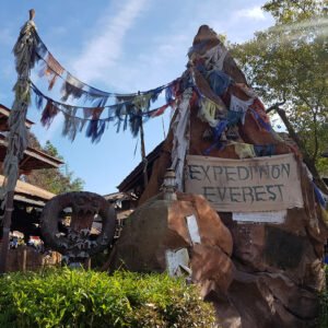 expedition-everest-7