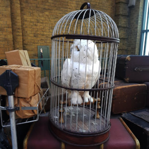 hogsmead_island-of-adventure-orlando-10