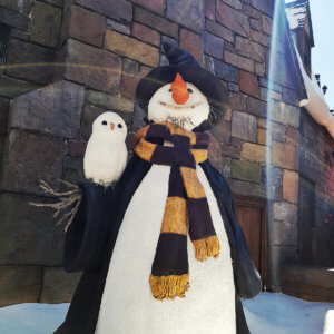 hogsmead_island-of-adventure-orlando-4
