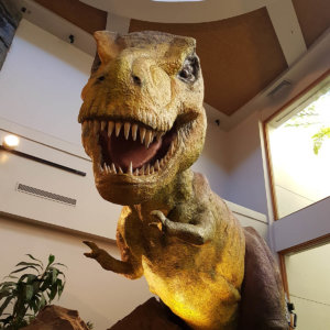 jurrasic-park_island-of-adventure-orlando-3