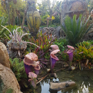 pandora the world of avatar