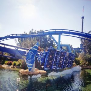 seaworld-attracties-6