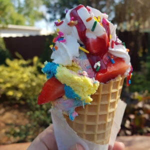 seaworld-seven-seas-food-festival_rainbow-cheesecake-cone