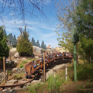magic-kingdom-seven-dwarfs-mine-train