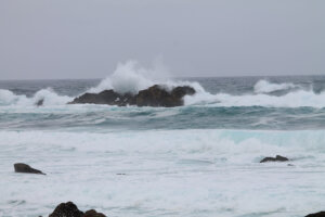 17-Mile Drive Pebble Beach