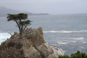17-Mile Drive Pebble Beach