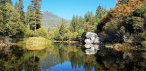 Roadtrip California Palm Springs