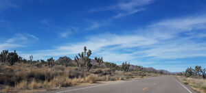 Joshua Tree National Park California