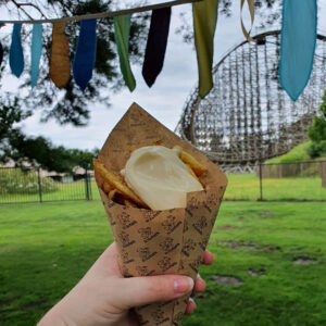 toverland-summer-feeling-2021-food-frietjes