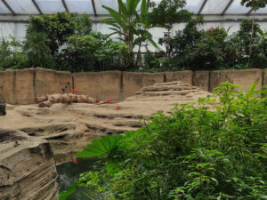 wildlands-2021-olifanten-5
