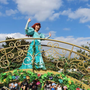 Princess Ariel