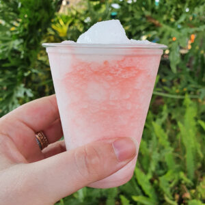 Frozen Pina Colada