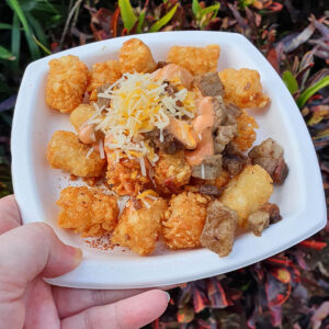 Brisket Totchos