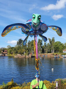Kite Tails