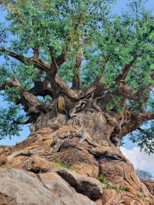 Tree of Life