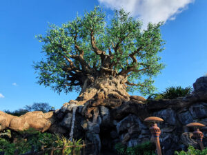 Tree of Life