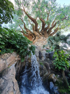 Tree of Life