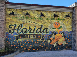 Welcome to Disney Springs