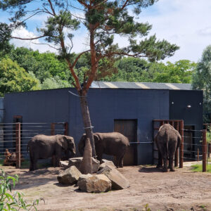 brew-at-the-zoo-2022-beekse-bergen-20