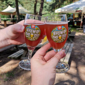 brew-at-the-zoo-2022-beekse-bergen-30