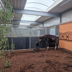 brew-at-the-zoo-2022-beekse-bergen-41
